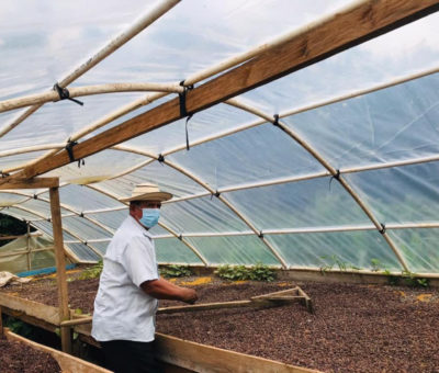Cirí Grande un poblado adaptado al cultivo de café