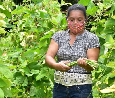290 mujeres rurales lideran proyectos agrícolas y avícolas en la provincia de Panamá Oeste