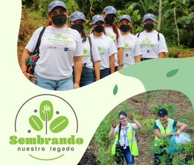 Metro de Panamá realiza jornada de reforestación
