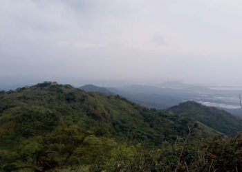 Ni tala, ni deforestación.  Mi Ambiente confirma que no existe una infracción ambiental en Cerro Cabra