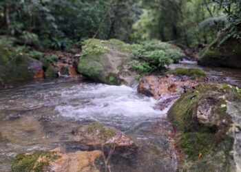 Plantean río Indio, como la opción más viable para garantizar agua a la población del Oeste