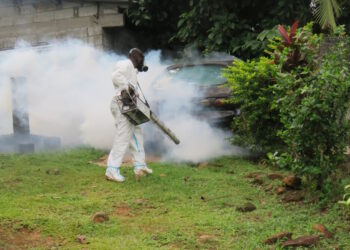 Aumentan casos de dengue, leishmaniasis y malaria en Panamá Oeste