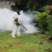 Aumentan casos de dengue, leishmaniasis y malaria en Panamá Oeste