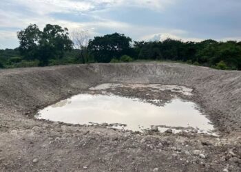 Productores de Panamá Oeste preocupados por déficit de lluvias