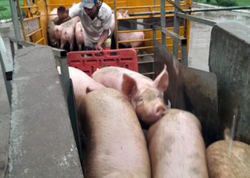 ¿Qué pasará con el dinero que estaba destinado para programa “Navidad Solidaria”?