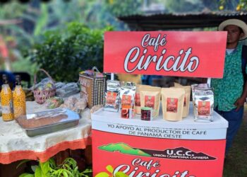 Cultivo de Café en Capira, un aliado para el Canal de Panamá