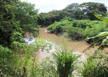 Anuncian fuentes hídricas viables para culecos en Panamá Oeste