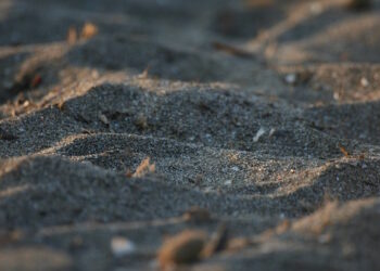 Suspenden extracción de arena en el Líbano de Chame