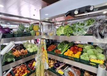 Merca La Chorrera reporta más de mil personas entran por día a sus instalaciones