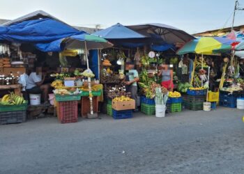 Otorgan plazo de 7 días para que desalojen espacios públicos en La Chorrera