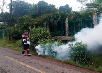 Chorreranos podrían ser multados ante presencia de criaderos de mosquitos