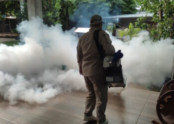 Cuatro serotipos de dengues están circulando en el país