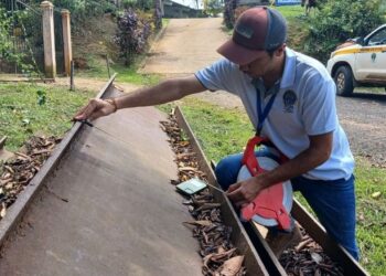 De Panamá Oeste van dos detenidos por caso de vigas