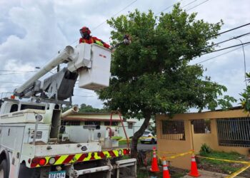 ASEP espera ser notificada, para realizar una investigación exhaustiva de las tarifas eléctricas
