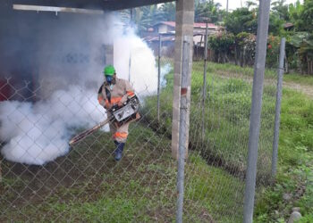 Casos de dengue en Arraiján continúan en aumento