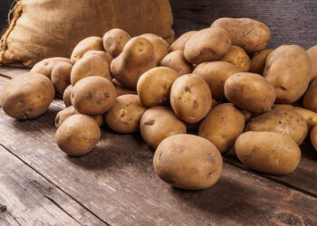 Hay desabastecimiento de papa producto de las prolongadas lluvias