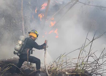 Incendio forestal arrasa con 10 hectáreas del Parque Nacional Altos de Campana