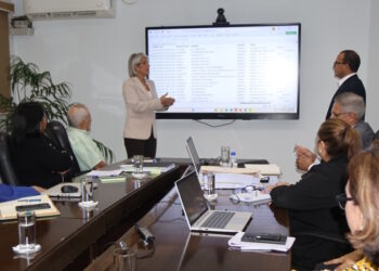 Anuncian peritaje para investigar apagón