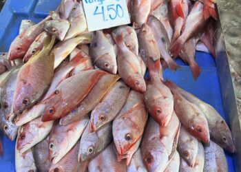 Semana Santa: Se incrementa la compra de mariscos