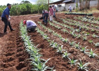 Sancionan empresa en La Chorrera por contaminar fuentes hídricas