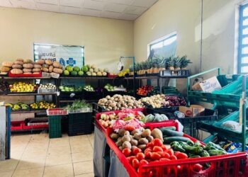 Comerciantes del mercado Municipal de Capira reportan afectaciones en sus ventas