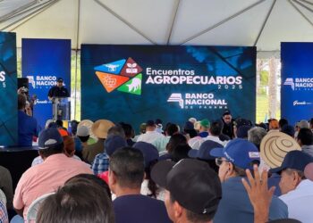 Cartera agropecuaria del Banco Nacional crece en Panamá Oeste