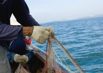 Especialistas de México presentan innovadora red de pesca sostenible en Bahía de Chame