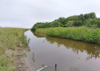 Presentan demanda ante la Corte para defender humedales del distrito de San Carlos