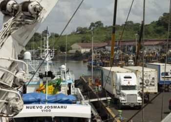 Desde Arraiján se movilizaron 3.7 millones de libras de atún a EE.UU. y Europa