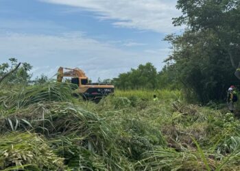 Alerta en el distrito de San Carlos por proyecto inmobiliario que amenaza humedales