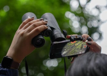 Panamá Oeste se une al “October Big Day 2025”