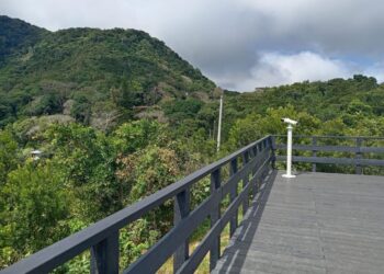 Capira. Por fuertes vientos ordenan cierre temporal del Parque Nacional Altos de Campana