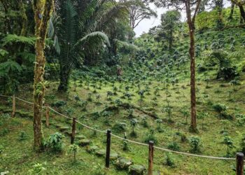 Panamá Oeste fortalece el agroturismo con 15 fincas sostenibles acreditadas