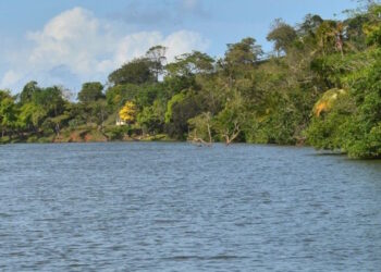 Canal de Panamá culmina fase clave de diálogo y avanza en la elaboración de estudio de impacto ambiental para proyecto del lago de Río Indio
