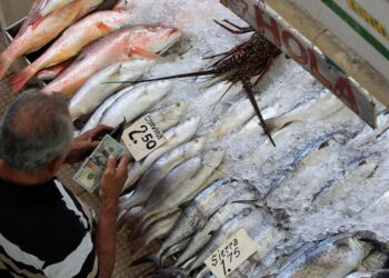 Semana Santa: Aumenta el consumo de mariscos en Panamá Oeste