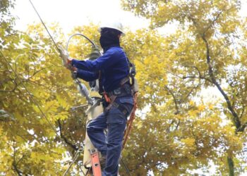 Atención Panamá Oeste. Trabajos de mantenimiento en la red eléctrica del 13 al 19 de abril de 2026