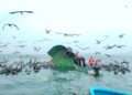Situación en Puerto Caimito: continúa búsqueda de capitán desaparecido tras naufragio