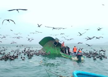Situación en Puerto Caimito: continúa búsqueda de capitán desaparecido tras naufragio