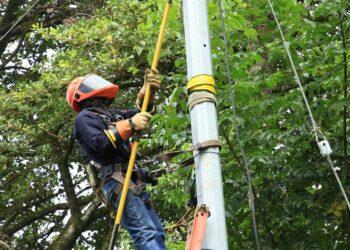 Panamá Oeste. Trabajos de mantenimiento en la red eléctrica del 29 de junio al 5 de julio de 2026