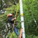 Panamá Oeste. Trabajos de mantenimiento en la red eléctrica del 29 de junio al 5 de julio de 2026