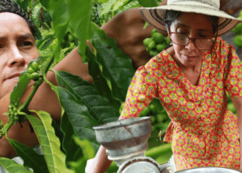 Café artesanal de Capira conquista nuevos mercados de la mano de tres emprendedoras