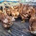 Productores de Panamá Oeste piden acceso a recursos de contingencia