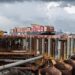 Cuarto Puente comienza a elevarse: vaciado de concreto fortalece la base de una de sus torres principales