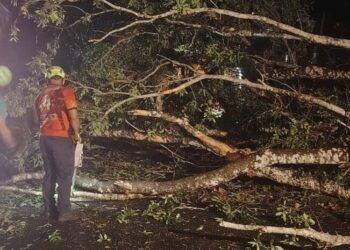 Lluvias del fin de semana dejan varias viviendas afectadas en Arraiján