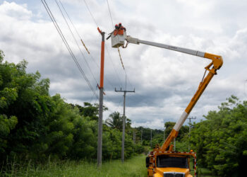 Panamá Oeste. Trabajos de mantenimiento en la red eléctrica del 05 al 11 de octubre de 2026