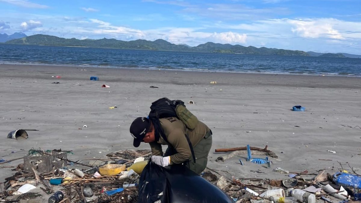 1000378120-scaled (1)