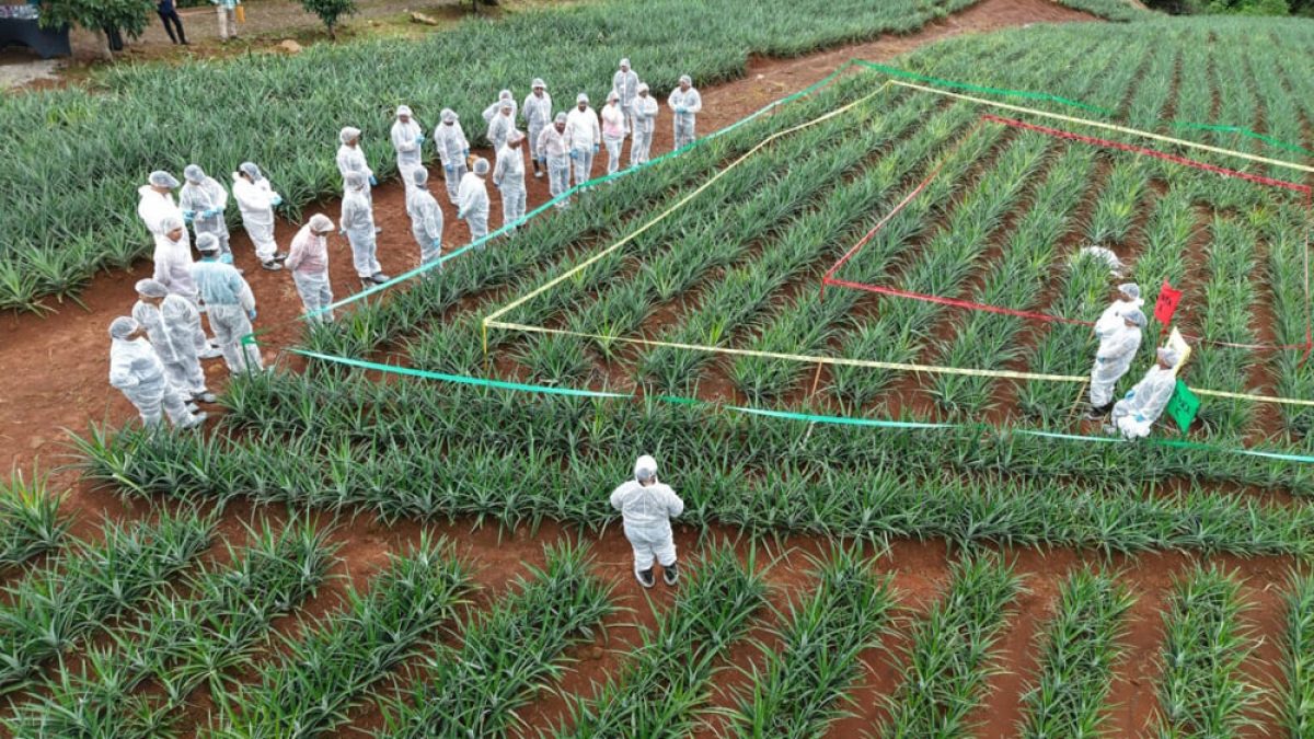 74578f9c-f888-4d08-bb8b-db605684f8c8-1536x1152 (1)