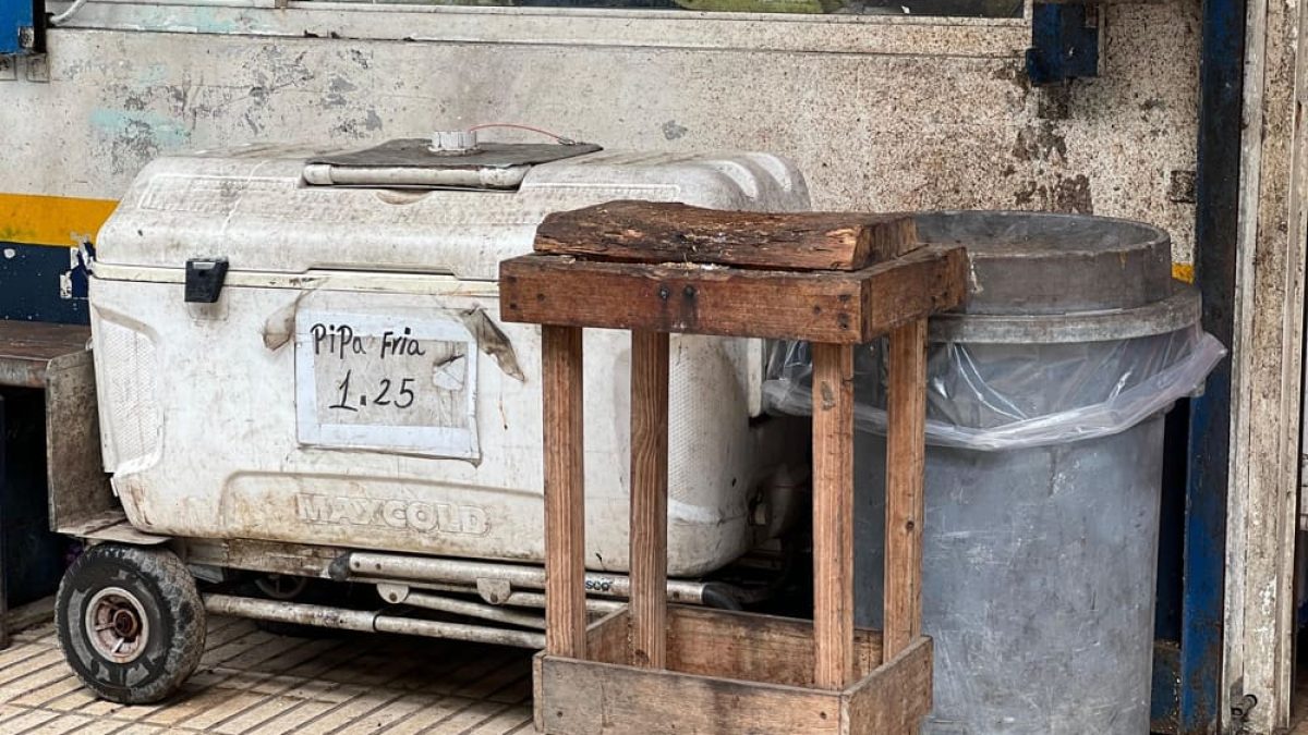 IMG-20251106-WA0164 (1)