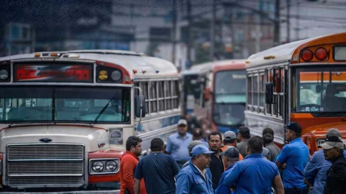 IMG-20260325-WA0063 (1)