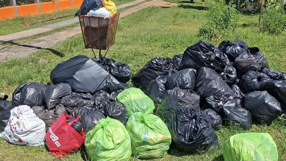 Screenshot_20251016_133410_Gallery (1)